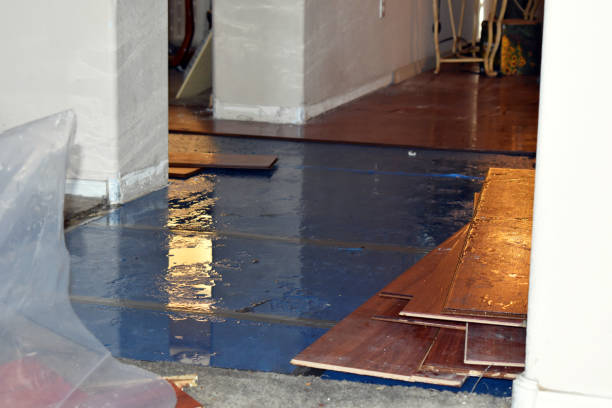 Professional Water Damage technician working in Caldwell, TX
