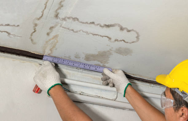 Reliable Water Damage contractor in Caldwell, TX by Water Damage Irwin